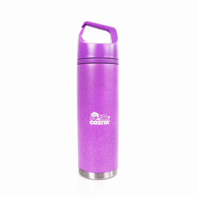Gourde isotherme inox - Hook650™